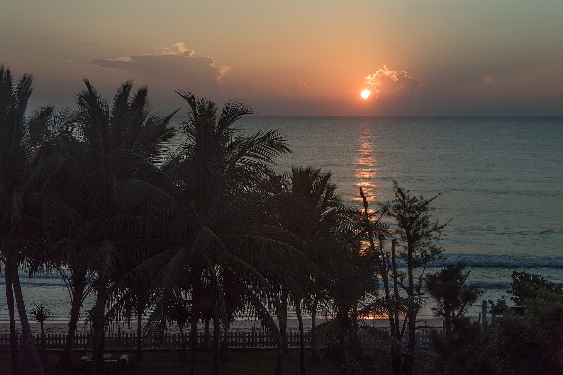 Sunrise over the sea at Nilaveli, seen through coconut palms